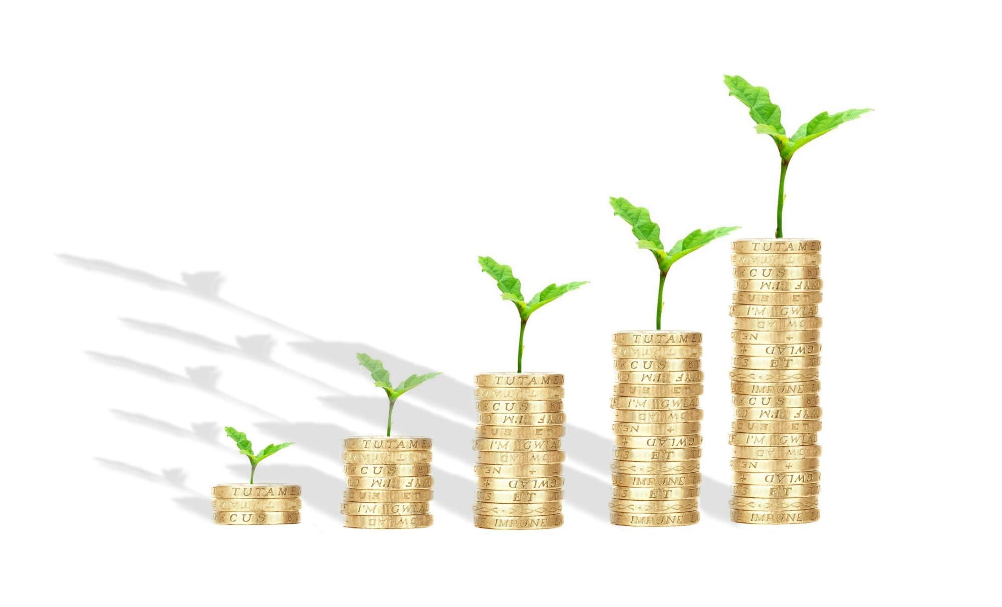 A Complete Guide to Real Estate Asset Management